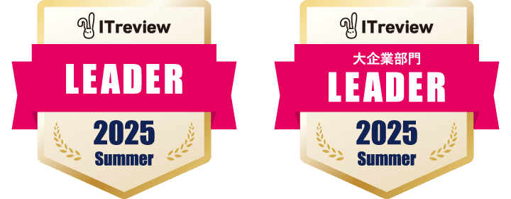 ITreview LEADER 2025 Summer